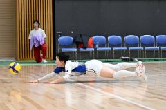 【女子準々決勝・帯南商―旭川実】相手のフェイントに飛び込みながらレシーブする帯南商の齋藤優芽