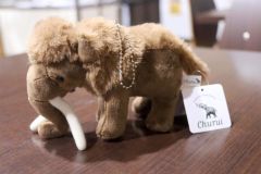 ナウマンゾウ縫いぐるみキーホルダー