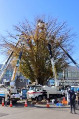 高所作業車で電飾の取り付け作業を行った