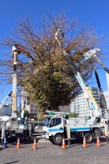 高所作業車で電飾の取り付け作業を行った