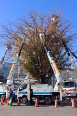 高所作業車で電飾の取り付け作業を行った