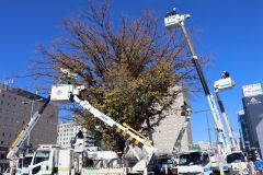 帯広駅北に４万５０００個の電飾　イルミネーション準備完了　２９日から点灯