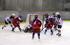 帯広レディース2年連続3位 御影グレッズ4位 全道女子アイスホッケー 11