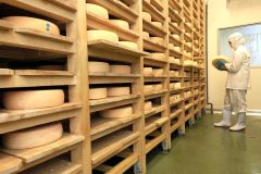 共同熟成庫で管理されている「十勝ラクレット」。ＧＩ制度に登録されている（十勝品質事業共同組合）