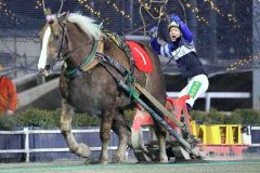 ４歳女王はカフカ　ばんえい十勝クインカップ