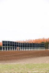 帯広畜産大学に設置された営農型垂直太陽光発電設備（平栗玲香通信員撮影）