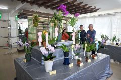 受賞の洋蘭を前に心得を分かち合う（右端）塩濱会長ら