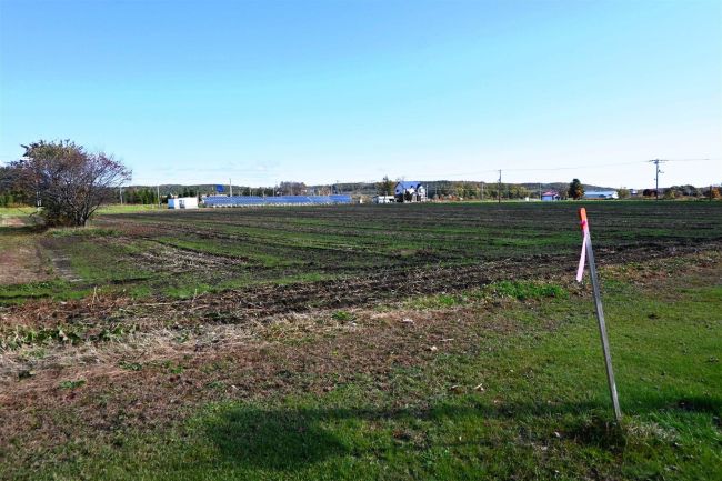 大樹柏林公園を再整備へ　遊具など備え憩いと交流の場に