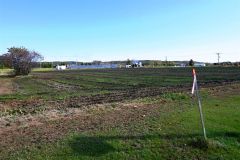 大樹柏林公園を再整備へ　遊具など備え憩いと交流の場に