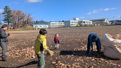 上士幌小の校庭で散乱した落ち葉を拾う参加者（上士幌ライオンズクラブ提供）