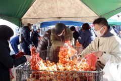 ２０トンが用意されたタマネギの詰め放題