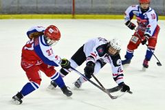 帯広レディース３年ぶりＶ　御影に４－２　財団杯女子アイスホッケー大会