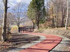 園路は緩やかなＳ字カーブ状に整備、移動しやすい造りとした