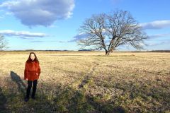 応援大使の委嘱式の後にハルニレの木を訪れた八神さん
