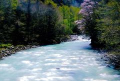 帯広の松原さんがグランプリ　南十勝シーニック・フォトコン