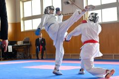 男子個人戦組手