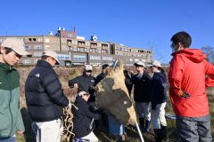 帯工生がタンチョウの給餌台設置　生息地分散で絶滅リスクを回避　十勝中央大橋近く 2