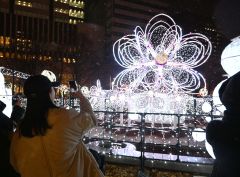 写真や動画を撮りながらイルミネーションを楽しむ来場者