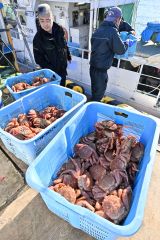 十勝港で毛ガニ漁 今季初水揚げ 2
