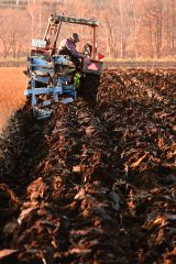 来季に向けて溝引きプラウを進める河野さん