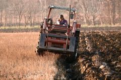来季に向けて溝引きプラウを進める河野さん