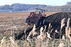 来季に向けて溝引きプラウを進める河野さん