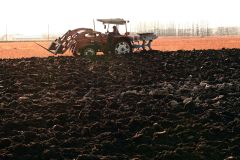 来季に向けてプラウで耕起作業を進める河野さん