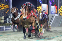 最後まで歩き切って重賞８勝目を挙げたタカラキングダム（ばんえい十勝提供）