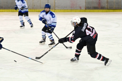 【5位決定戦・御影グレッズ―昭和医科大ブルーウィンズ】第2ピリオド、パックを放つグレッズのDF篠田安主将(右)