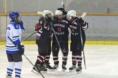 御影グレッズ５位　昭和医科大に７―３　帯広レディースは７位決定戦へ　アイスホッケー女子日本リーグファイナルトーナメント第２日