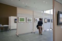 写真作品に見入る来館者