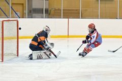 帯広レディース８位　太田（帯大谷短大出）や野村（音更高出）らのＳＥＩＢＵは３位　アイスホッケー女子日本リーグ