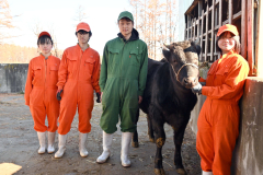 更農高生が育てた黒毛和牛が市場に　全共控え初挑戦