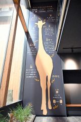 キリンの大きさを実感できる、メープルをモチーフにした等身大パネル