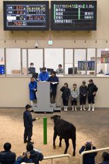 ２頭目の牛も７５万円で売ることに成功した