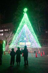 ポケットパークに設置された華やかなイルミネーション