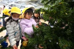 クリスマスツリーに飾り付けを施す園児たち（須貝拓也撮影）