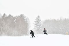 新雪のスキー場で初滑りを楽しむスキーヤー(4日午前9時半分ごろ)