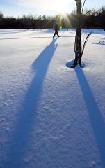 本格的な積雪となった帯広市内。日の短い師走の朝には登校する生徒の影が長く伸びる(4日午前7時半ごろ、帯広の森で。塩原真撮影)