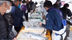 １１月の「魚の日」の様子