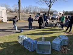 ミニゲームを楽しむ子どもたち