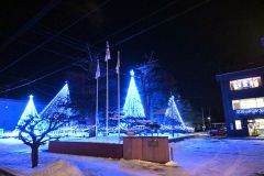 高さ最大１０メートルのツリーで周囲を明るく照らすイルミネーション