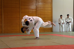 【男子81キロ級・決勝】豪快な内股で技ありを取り、合わせ技で一本勝ちした広尾の濱津蓮人(左)