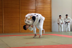 【男子81キロ級・決勝】豪快な内股で技ありを取り、合わせ技で一本勝ちした広尾の濱津蓮人(左)