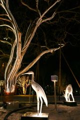 北海道ホテルのイルミネーション(金野和彦撮影)