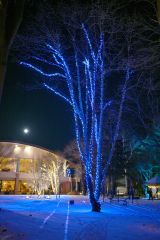 北海道ホテルのイルミネーション(金野和彦撮影)