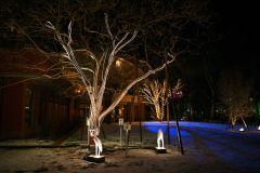 北海道ホテルのイルミネーション(金野和彦撮影)