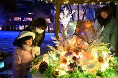 北海道ホテルのイルミネーション(金野和彦撮影)