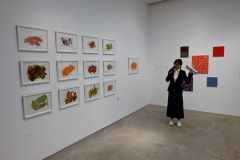 作品を解説する杉本代表理事