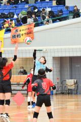札内南が混合初Ｖ　女子は鹿追ＬＢ、男子は帯広ＪＪＢ　高橋杯全十勝小学生バレーＢクラス大会 13